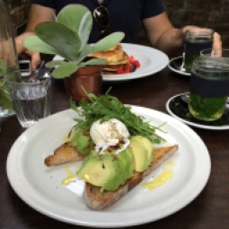 Sourdough toast with avocado & egg